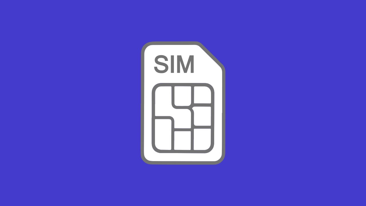 Replacement SIM card for government phone
